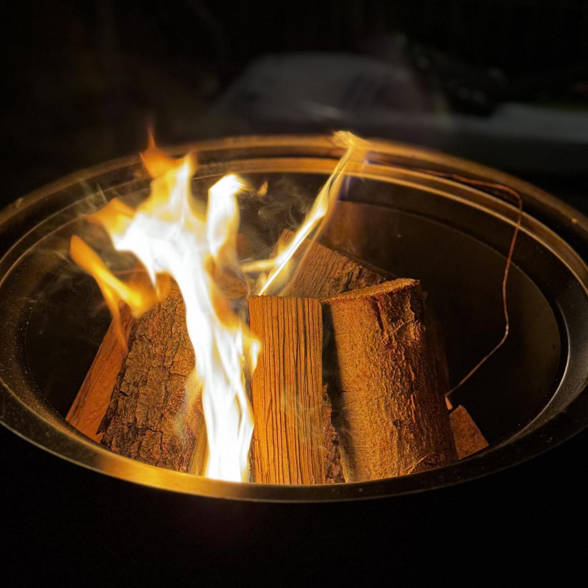 Greenhouse Living Apartment Fagus Mit Terrasse Und Feuerstelle - 6 Minuten Nach Winterberg - 4 Minuten Zur Ruhrquelle - Wandern - Mountainbike Fahren - Reisen Mit Hund & Natur Geniessen Medebach Ngoại thất bức ảnh