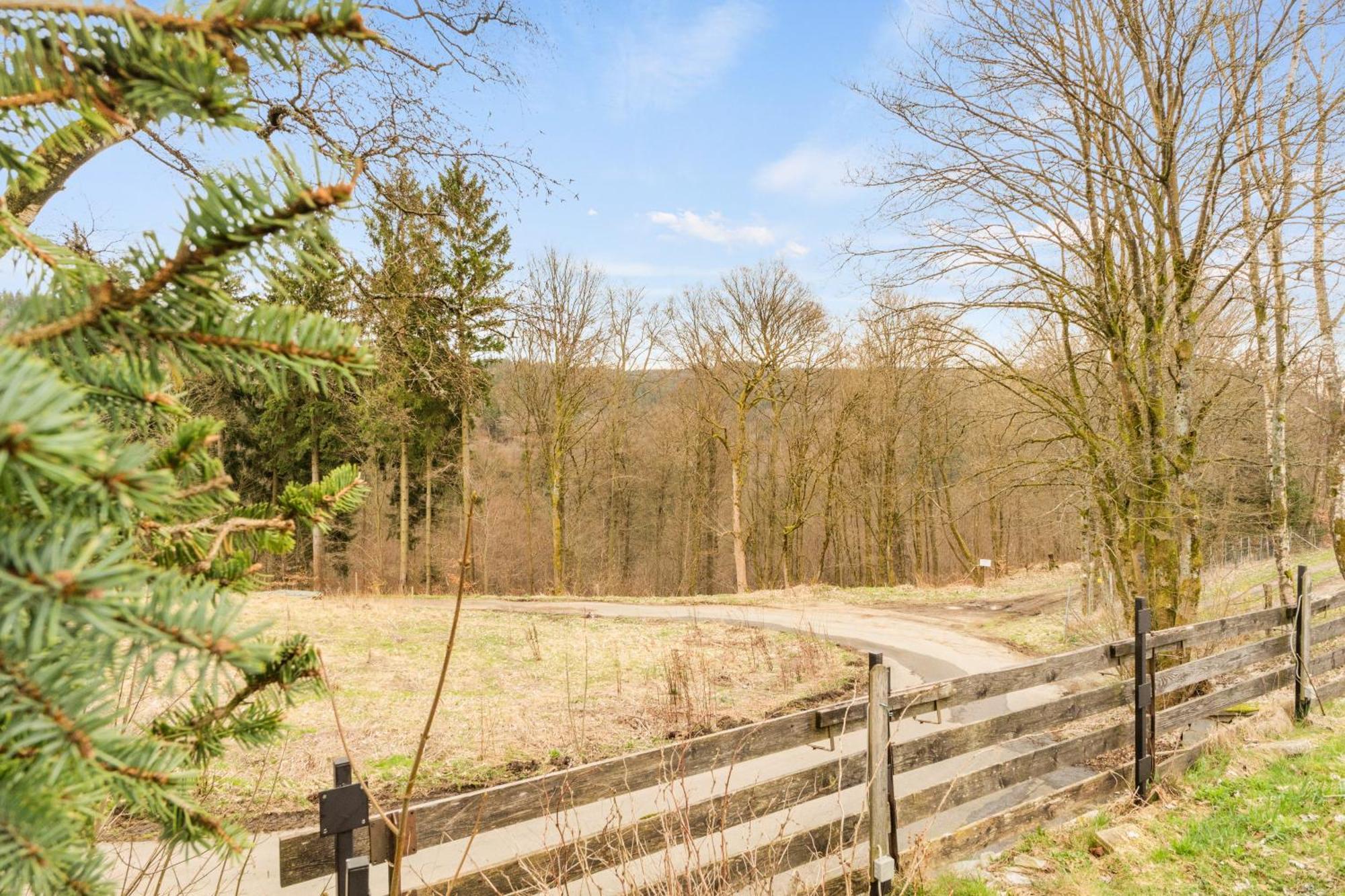 Greenhouse Living Apartment Fagus Mit Terrasse Und Feuerstelle - 6 Minuten Nach Winterberg - 4 Minuten Zur Ruhrquelle - Wandern - Mountainbike Fahren - Reisen Mit Hund & Natur Geniessen Medebach Ngoại thất bức ảnh